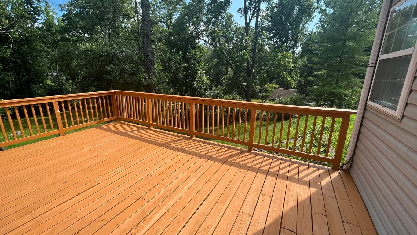 Staining image 2